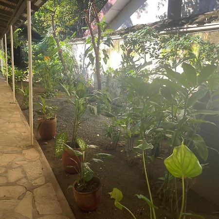 Hostal Casa Abierta Leon Ngoại thất bức ảnh