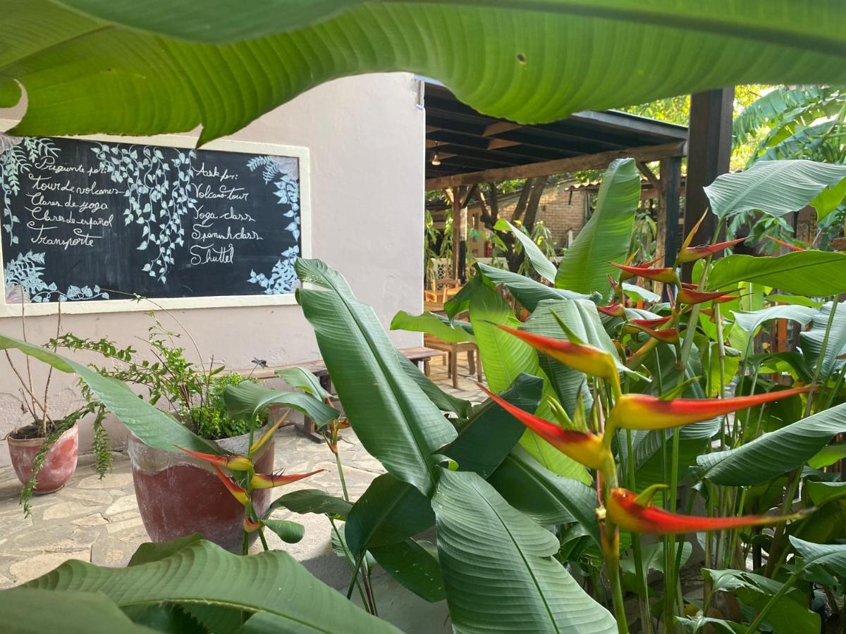 Hostal Casa Abierta Leon Ngoại thất bức ảnh