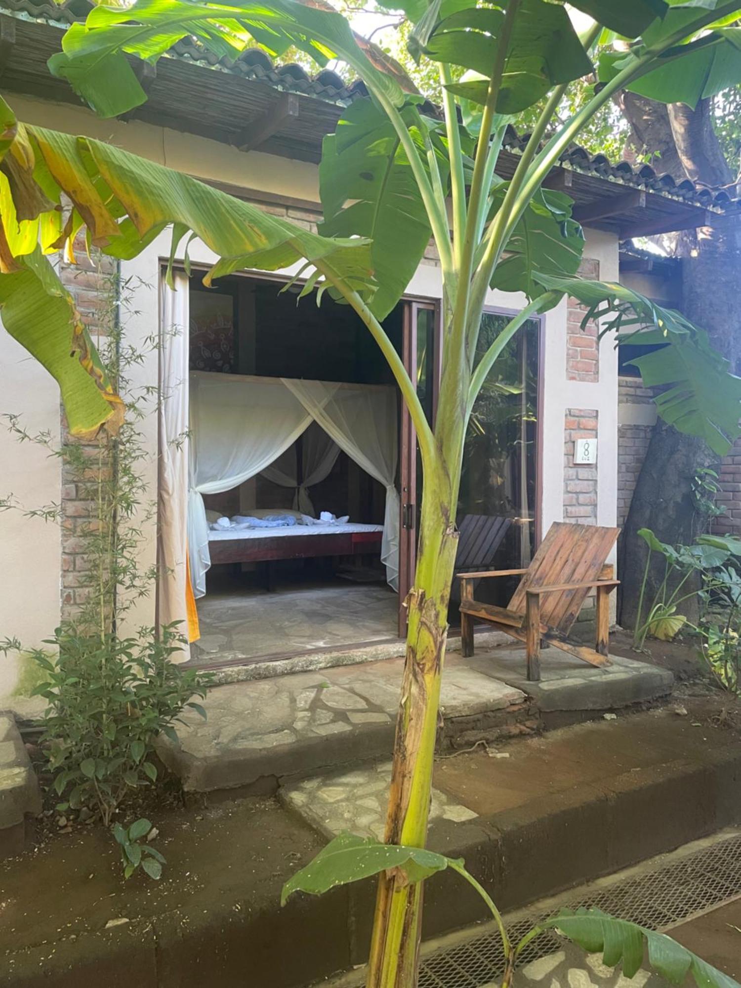 Hostal Casa Abierta Leon Ngoại thất bức ảnh