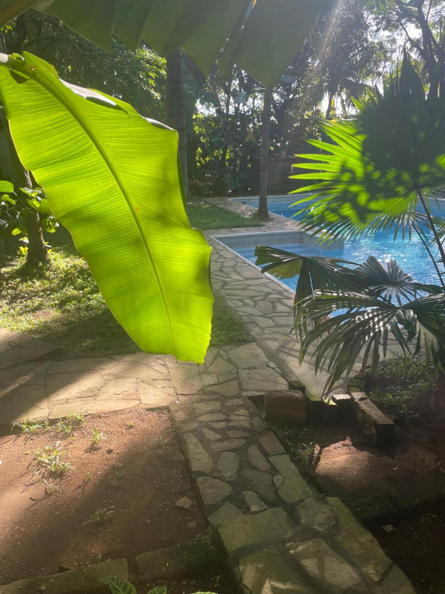 Hostal Casa Abierta Leon Ngoại thất bức ảnh
