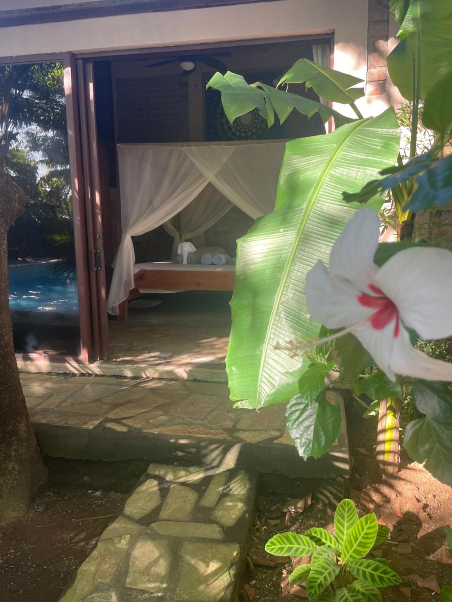 Hostal Casa Abierta Leon Ngoại thất bức ảnh