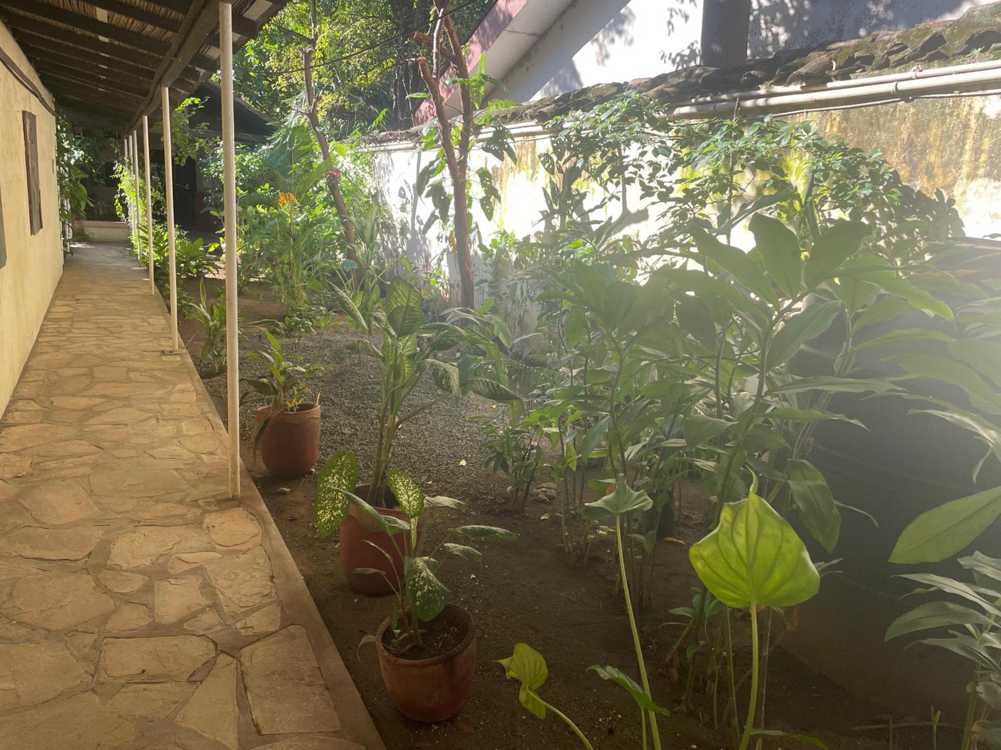 Hostal Casa Abierta Leon Ngoại thất bức ảnh