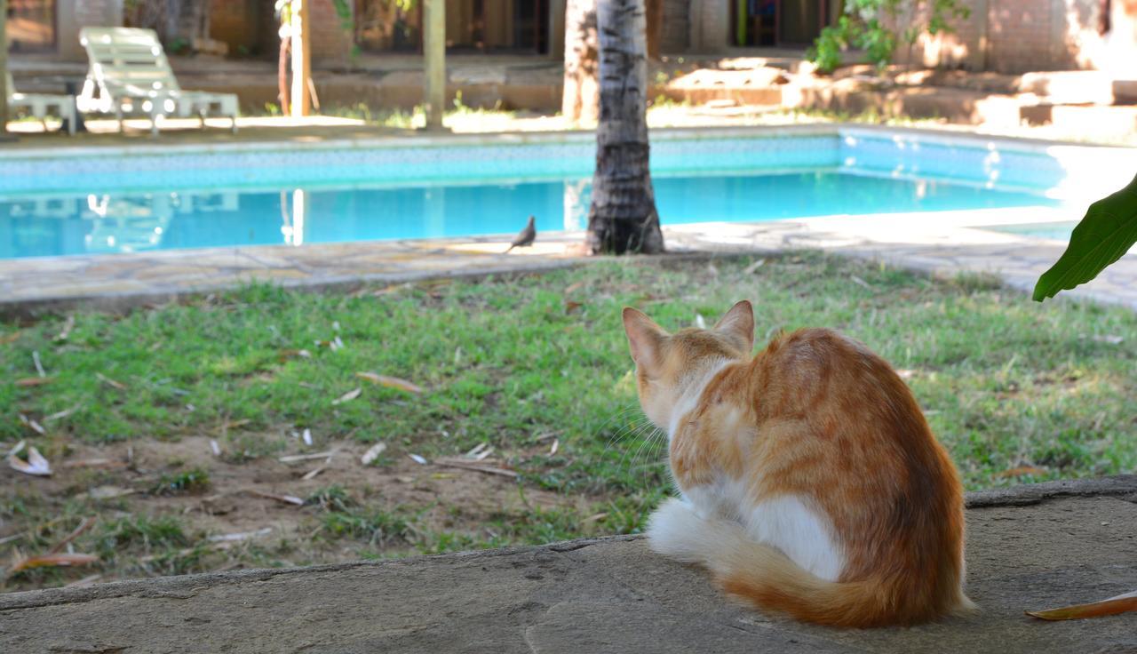 Hostal Casa Abierta Leon Ngoại thất bức ảnh